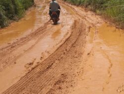 Waspada/istJalan rusak parah kawasan Banuatonga, Kec. Muara Batanggadis, Kab. Madina, yang menyulitkan masyarakat.