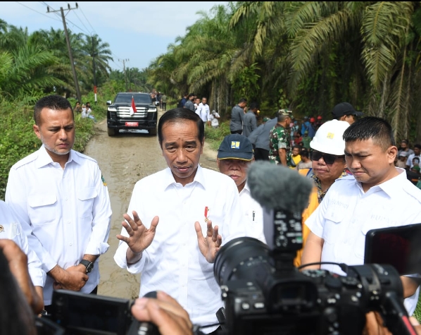 Foto: Ilyas Munthe Bupati Labura Hendriyanto Sitorus bersama Wagubsu Musa Rajekshah mendampingi Presiden Jokowi saat kunker ke Labura, Rabu (17/5).