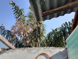 Angin Puting Beliung Porak Porandakan Satu Rumah Di Batu Anam