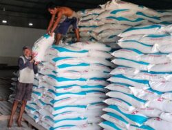 Stok Pupuk Bersubsidi Di Sergai Mencukupi
