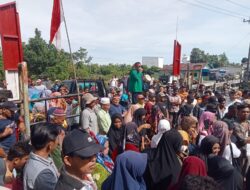 Bupati Sambut Kedatangan  Ratusan Massa Singkuang 1