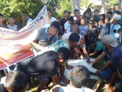 Salurkan 19 Hewan Kurban  Bersama Ikanas Di Madina