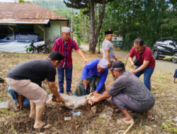 SMSI Madina Sembelih Dua Ekor Kambing