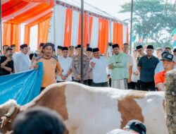 Pemko Medan Sembelih 104 Hewan Kurban