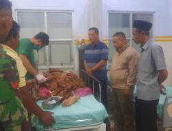 Teks foto Berita/ist Penderita sirosis hepatitis, dalam kondisi sangat lemah, perut membesar, dilarikan ke RSUD Panyabungan.