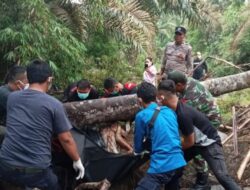 Heraldo Bastian Sirait Ditemukan Meninggal, Setelah Sepekan Menghilang