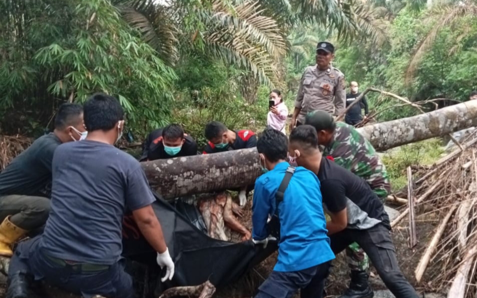 Heraldo Bastian Sirait Ditemukan Meninggal, Setelah Sepekan Menghilang