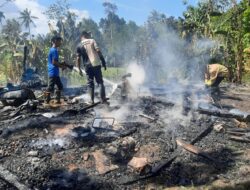 Kandang Sapi Musnah Terbakar