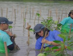 Biofarma Group Tanam 5.500 Bibit Mangrove