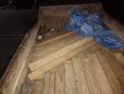 BB TNGL Tangkap Pelaku Illegal Logging Dan Pemburu