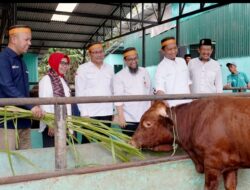 BSI Dukung Parangbanoa Angkat Potensi Peternakan Sapi Potong