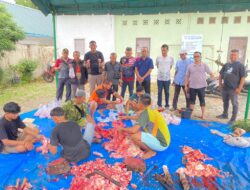 PWI Sergai Sembelih Tiga Ekor Hewan Qurban