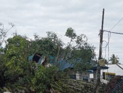 Mess Pemkab Madina Di Natal  Hancur Dihantam Dua Pohon Mahoni