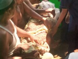 Pemuda Tewas Gantung Diri Di Pohon Rambutan