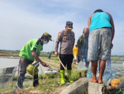 Kapolsek Dan Warga Tanahjawa Berburu Tikus Sawah