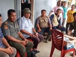 Harimau Datang Lagi, BKSDA-TNBG Diminta Maksimal