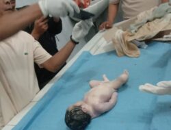 Jasad Bayi Dalam Kardus, Akhlak Di Madina Minta Diinvestigasi