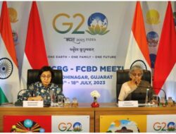 RI-India Luncurkan  “Dialog Ekonomi dan Keuangan India – india”