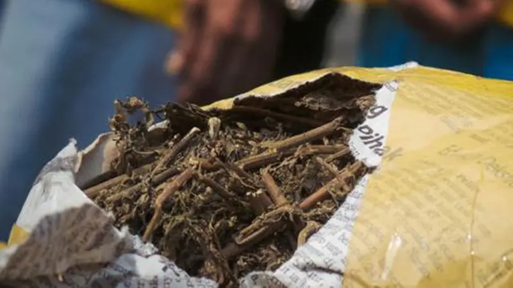 Teks foto Berita/Ist Paket 5 kg ganja di loket bus ALS perwakilan Panyabungan hendak dikirim ke Pulau Jawa.