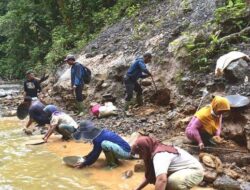4 Meninggal Pencari Emas