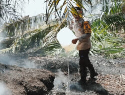 19 Ha Lahan Sawit Di Asahan Terbakar