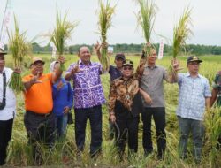 Hadiri Panen Raya Di Kwala Mencirim, Petani Doakan Syah Afandin Lanjutkan Pimpin Langkat 