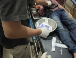 Warga Natal Luka Parah Diterkam Buaya