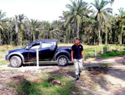 LembAHtari Desak DPRK Aceh Tamiang Gelar RDP