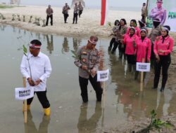 Kapolres dan Bupati Sergai Tanam Mangrove Serentak di  Desa Nagalawan Perbaungan