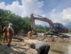 Mengatasi 1.300 Ha Sawah Gagal Tanam Di Madina