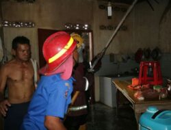 Gudang Papan Bunga Hangus Terbakar Di P.Siantar