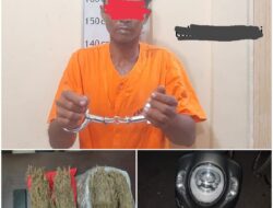 Menyaru Sebagai Pembeli, Polisi Langkat Amankan Pemilik 2 Kg Ganja