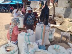 Harga Beras Naik Setiap Pekan Rp 5000/Zak di Pasar Induk Sidikalang