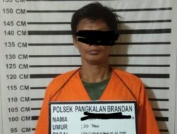 Polsek P. Brandan Tangkap Pencuri Ratusan Bebek