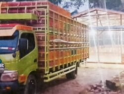 Warga Protes Adanya Kandang Penampungan Ayam Broiler Di Desa Faekhu 