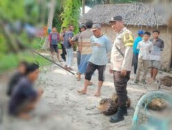 Bhabinkamtibnas Polres Sergai Bekuk Dua Pelaku Pencurian