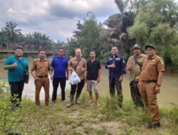 Awas Buaya Muncul di Sungai Aek Sakur, BKSDA Provsu Akan Lakukan Penangkapan