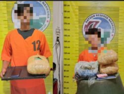Diduga Jual Ganja, 2 Warga Tapsel Ditangkap