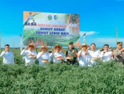 Pj Gubsu & Bupati Batu Bara Panen Cabai Merah