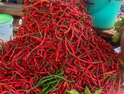 Harga Cabai Merah dan Gusir Meroket