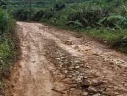 Jalan Penderitaan Sengsarakan  Warga Linggabayu