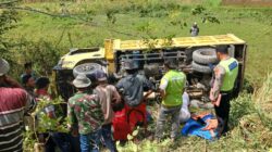 Satu unit truk pengangkut batu jatuh ke jurang ke kedalaman 10 meter di Lumban Marugun, Desa Lobu Siregar I, Kecamatan Siborongborong, Selasa (5/12 ) sekira Pukul 11.00 Wib. (ist)