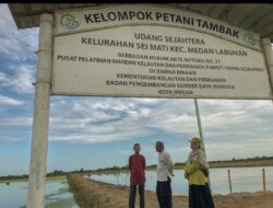 PLN UIP3B Sumatera Bangun Desa Berdaya  Sei Mati