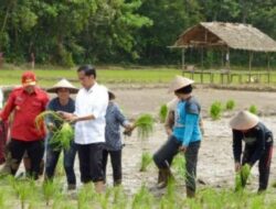 2024 Indonesia Masih Harus Impor Beras