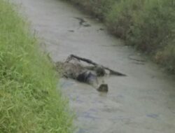 Rahman Pencari Ikan Ditemukan Sudah Jadi Mayat Di Kebun Rampah Estate Sei Bamban