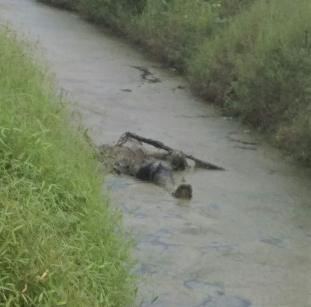 Teks foto:Mayat Rahman(68) warga Dusun 1 Desa Pon, Kecamatan Sei Bamban, Kabupaten Serdang Bedagai, di temukan di dranaise perkebunan Rampah Estate, Sabtu 6 -1-2024.(Beritasore-Azwen)