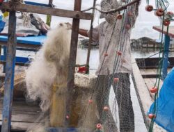 Jaring Nelayan Tradisional Belawan Rusak Dihantam Kapal Tanker