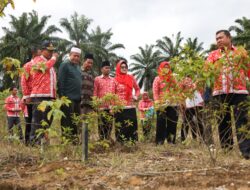 Wali Kota Siantar Tinjau Lahan Pemakaman  4,1 Hektar