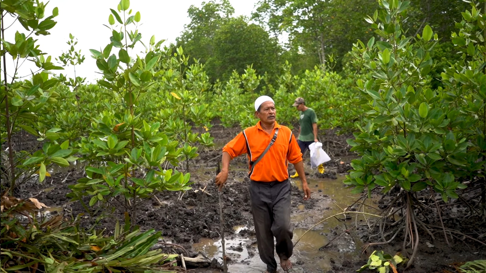 Ketua KTCM Azizi mendapatkan anugrah local Hero dari PT Inalum atas dedikasinya menyelamatkan hutan mangrove di pesisir Batubara khususnya di Pantai Sejarah.(foto ist)