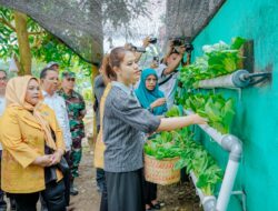 Dikunjungi Kahiyang Ayu, Kelurahan Belawan Sicanang Kenalkan Produk Unggulan Mangrove